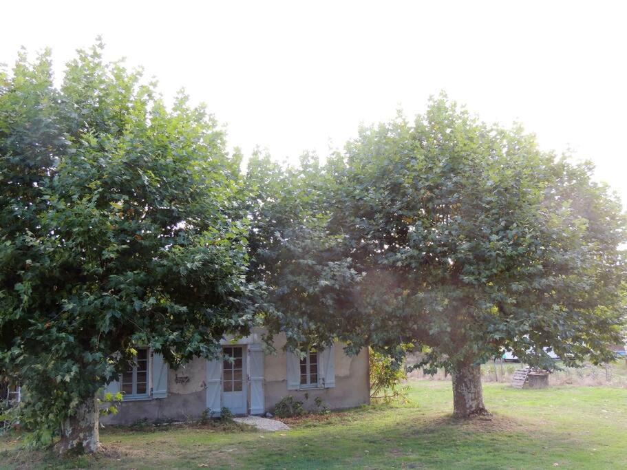 Entre Chevreuil Et Cerf Villa Belin-Beliet Exterior photo
