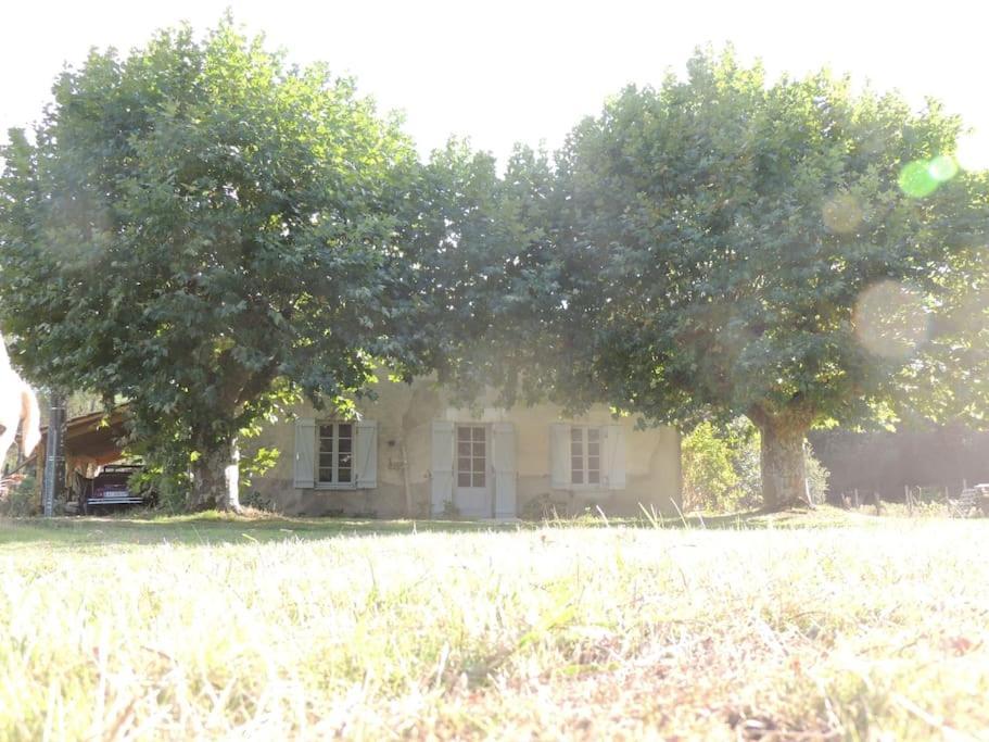 Entre Chevreuil Et Cerf Villa Belin-Beliet Exterior photo